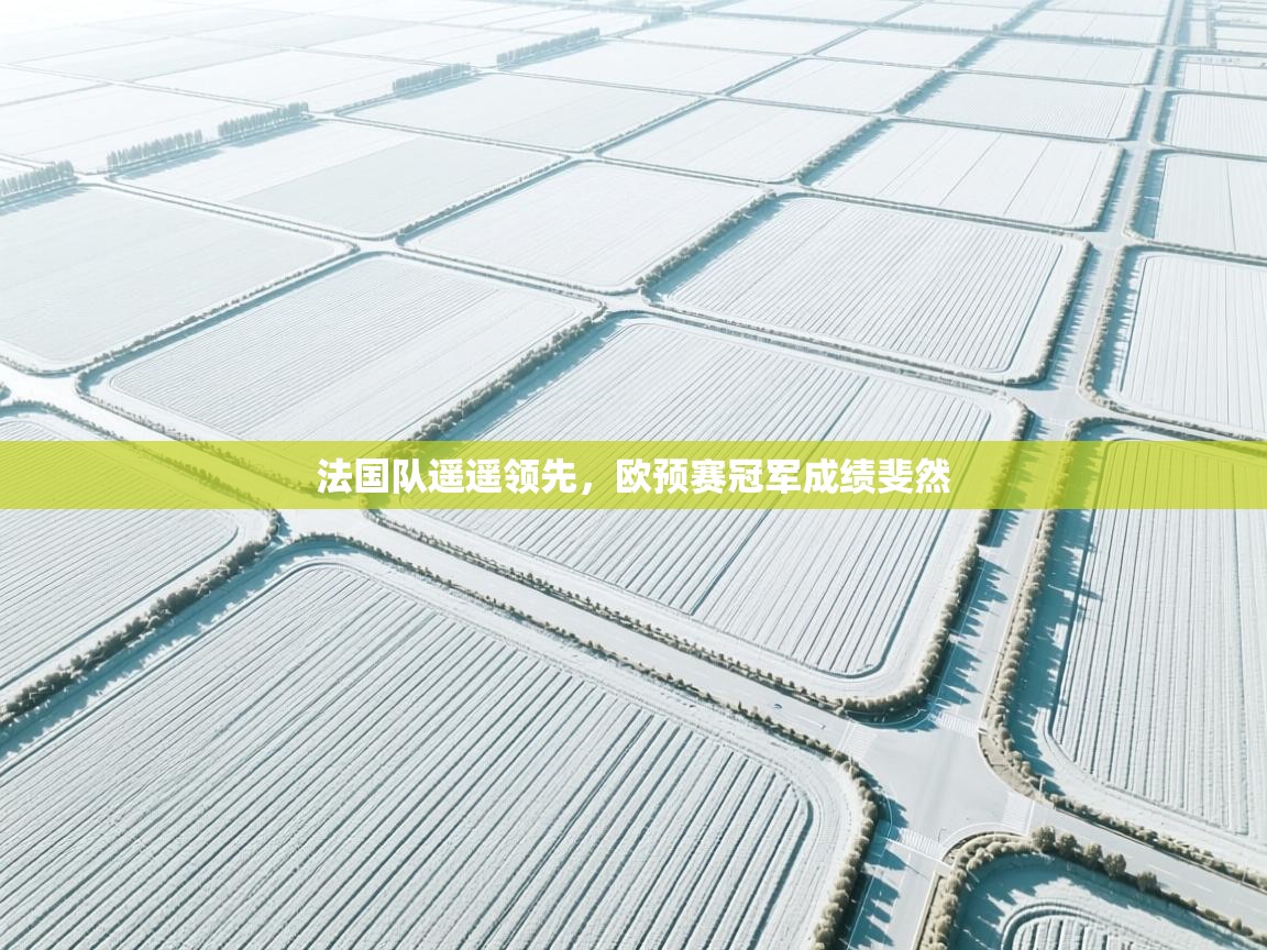 法国队遥遥领先,欧预赛冠军成绩斐然 第1张
